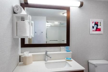 Hampton Inn & Suites Minneapolis St. Paul Airport - Mall of America - 43