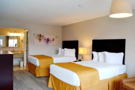 Quality Inn & Suites By the Parks - 52