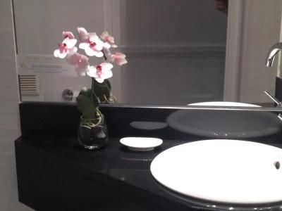 Hôtel Elysées Flaubert - 75