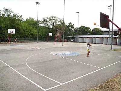Kamelija - 13