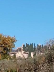 b&b All’Ombra Di San Damiano - 60