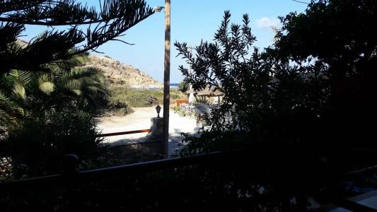 Maistrali - 33