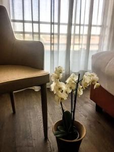Blaise & Francis - 35