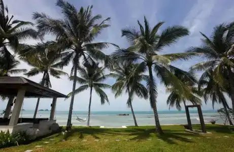 Baan Asan - 10