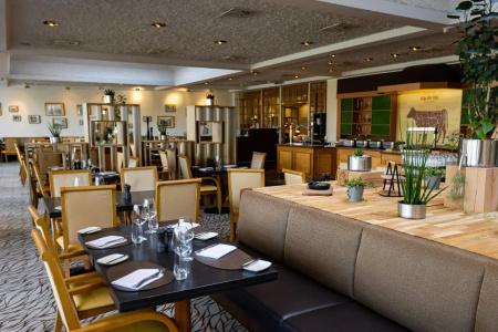 Heidelberg Marriott - 15