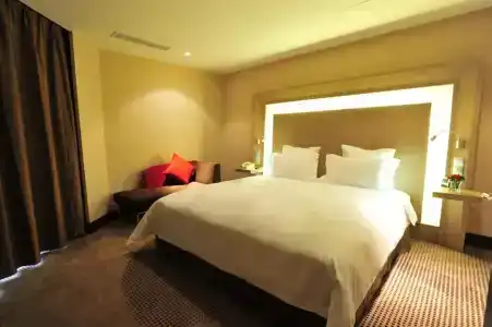 Shenzhen Novotel Watergate(Kingkey 100) - 45