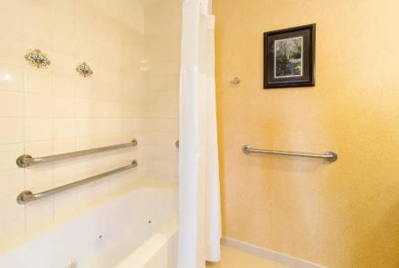 DoubleTree Suites by Hilton - 50