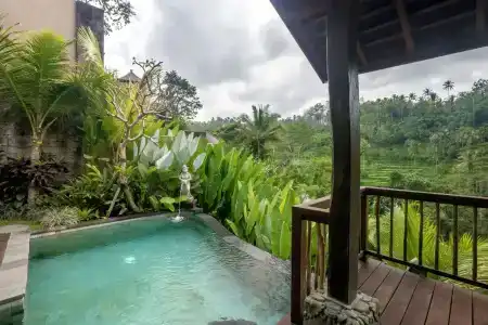 The Kayon Jungle Resort - 44