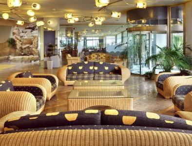 Kaktus Albir - 32