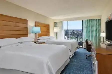 Sheraton Orlando Lake Buena Vista Resort Near Disney Springs - 59