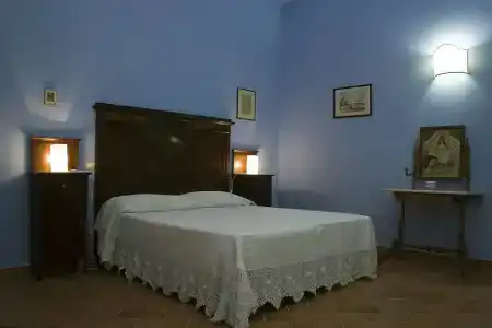 Trigona - 4