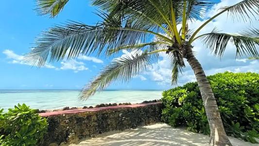 Palumbo Reef - 16