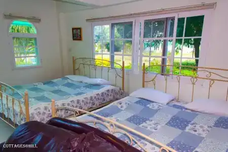 Cottages @ Hill - 77