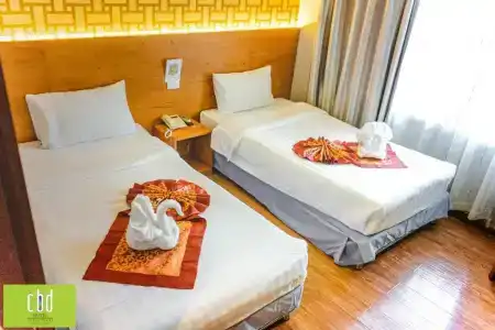 CBD Suratthani - 181