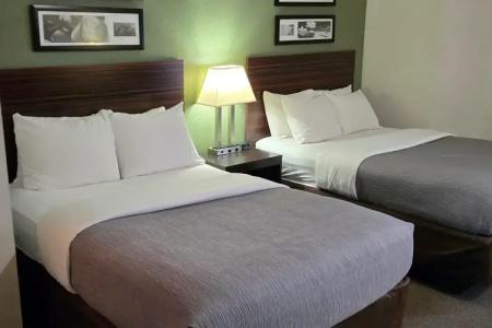 Sleep Inn International Airport - 41