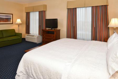 Hampton Inn and Suites South - 19