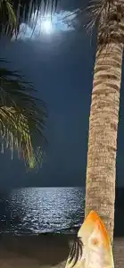 Margarita Beach - 29
