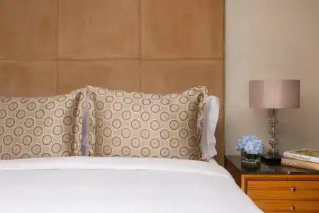 Ritz-Carlton - 41