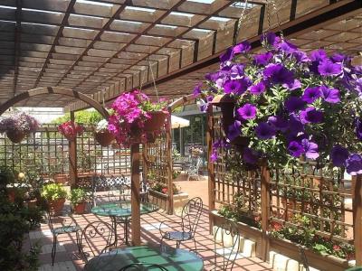 Colonne - Alihotels - 32