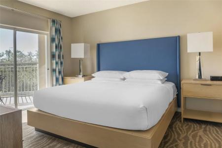 Hilton Grand Vacations Club SeaWorld Orlando - 47