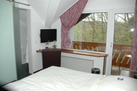 Pension Haus Diefenbach - 53