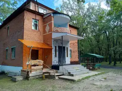 Дубки у Валентины - 14