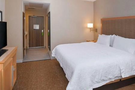 Hampton Inn & Suites Denver-Speer Boulevard - 88