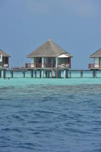 Safari Island - 35