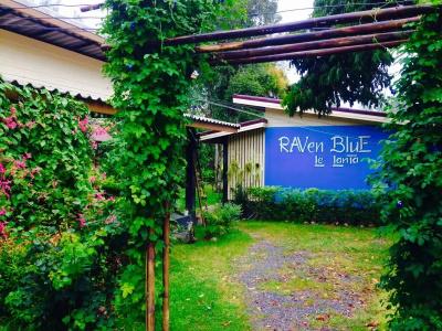 Raven Blue - 24