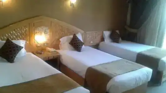 Oriental Rivoli & Spa - 6