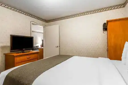 Quality Inn & Suites - 61