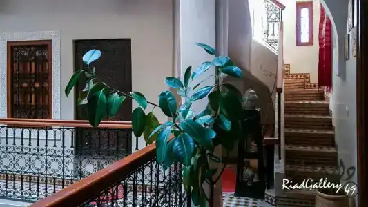 Riad Gallery 49 - 67