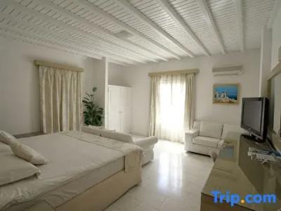 Dionysos Luxury Mykonos - 114