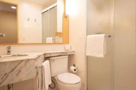 ibis Sao Paulo Barra Funda - 103