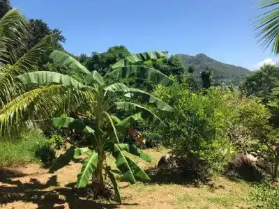 Mirella Villa - 23