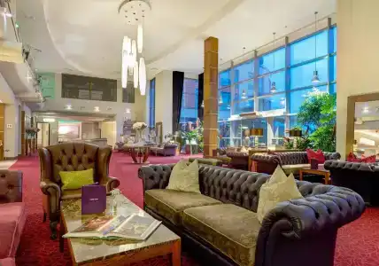 Cork International - 1