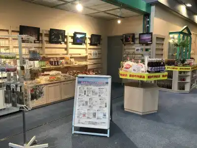 Renaissance Tanagura - 10