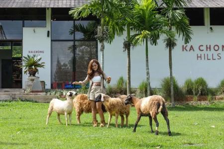 Kachonghills Tented Resort Trang - 28