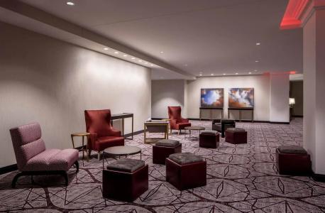 Embassy Suites By Hilton Minneapolis Downtown - 12