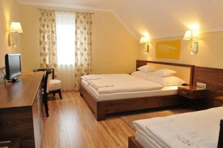 Mizse Motel - 19