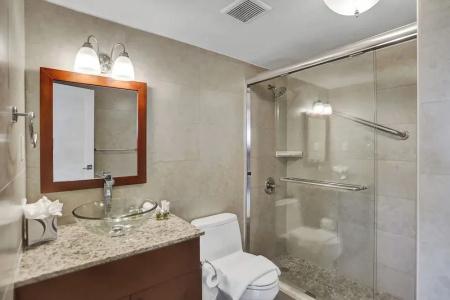 The Alexander All Suites - 492