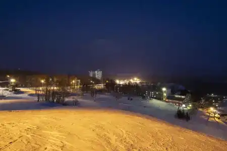 The Green Leaf, Niseko Village - 22