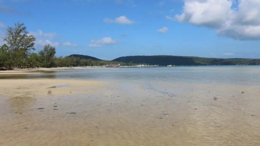 Dolphin Bay - 23