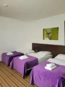 Boutique Eco Sasanka - 21