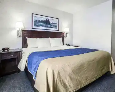 Comfort Inn - 36