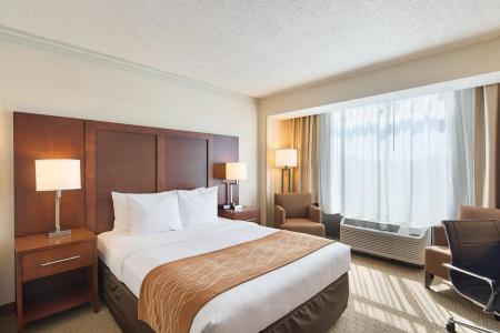Comfort Inn By the Bay San Francisco - 6