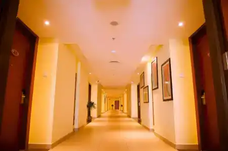 Palm - 10