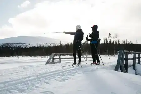 Laplands Sirkantähti - 44