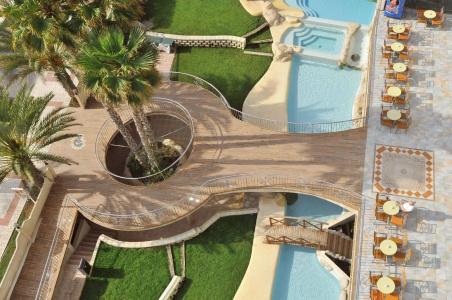 Kaktus Albir - 20
