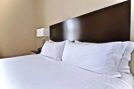 Holiday Inn Express Downtown, An Ihg - 22